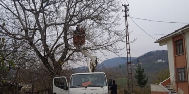 Ordu’da elektrik tellerine temas eden ağaç dalları kesildi