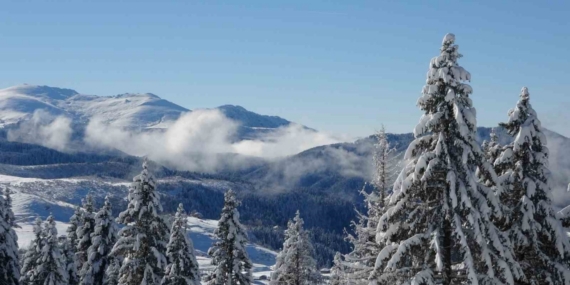 Ordu’da kartpostallık kar manzaraları