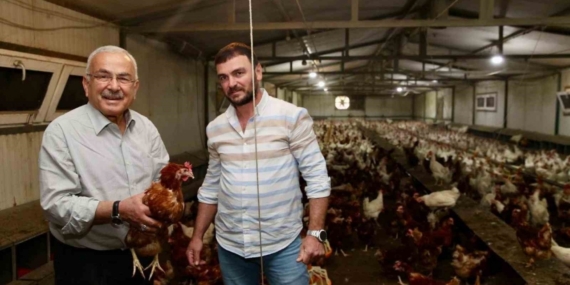 Ordu’da yumurta üretimi, verilen destekler ile zarardan kara dönüştü: İlin ekonomisine yıllık 500 milyon lira gelir