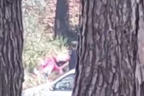 Ormanlık alanda kadını darbeden şüpheli yakalandı