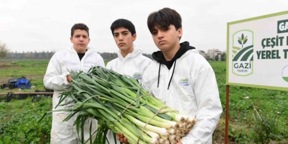 Osmangazi’de pırasa hasadıyla doğallık sofralara taşınıyor