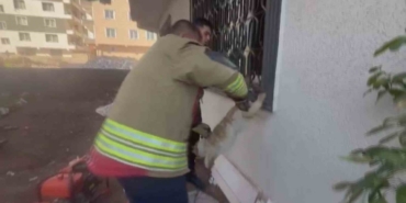 Pencere korkuluğunu sıkışan kediyi itfaiye kurtardı