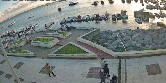 Pendik’te vicdanları sızlatan olay: Kediye tekme atıp denize fırlattı