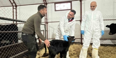 Pertek’te kırsala bereket: Genç veterinere hayvancılık desteği
