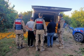 Portakal hırsızları suçüstü yakalandı