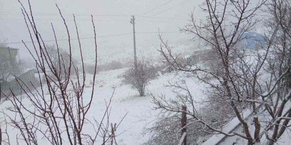 Posof’ta kar yağışı etkili oluyor