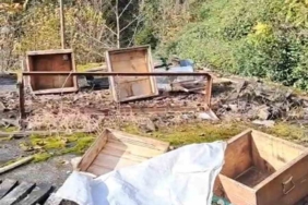 Rize’de ayının kovanlarına saldırdığı üretici isyan etti: "Ben şimdi ne edeyim"