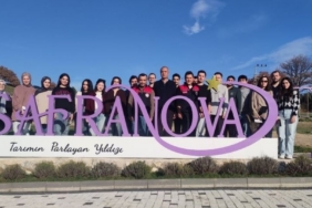 Safranın sürdürülebilirliği için KBÜ’den akademik destek