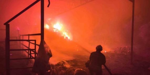 Samanlıktan yükselen alevler, besihaneye ulaşmadan kontrol altına alındı