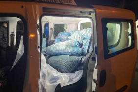 Samsun’da 300 kilo kaçak midye ele geçirildi