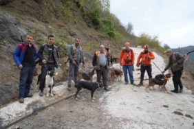 Samsun’da domuz alarmı: Avcılığa "takoz" engeli