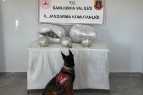 Şanlıurfa’da 25 kilogram uyuşturucu madde ele geçirildi