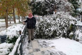 Şanlıurfa’da kar yağışı nedeniyle ağaç devrildi