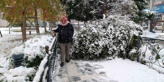 Şanlıurfa’da kar yağışı nedeniyle ağaç devrildi