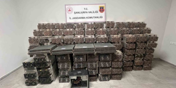 Şanlıurfa’da kripto para madenciliği operasyonu: 2 gözaltı