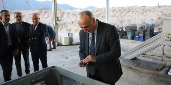 Sarıcakaya zeytinle ön plana çıkıyor