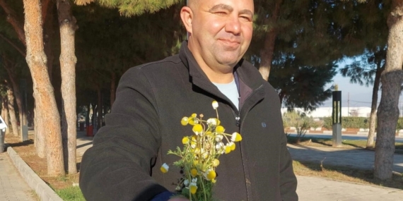 Sarıgöl’de zemheri papatyaları açtı