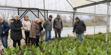 "Saygınlar Kulübü" üyeleri serada hasat yaptı