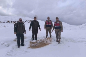 Siirt’te yaban hayvanlarına 750 kilo besi yemi bırakıldı