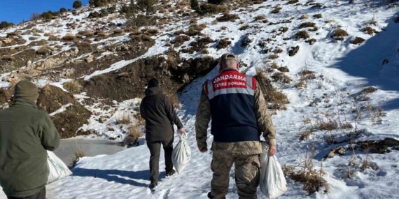 Siirt’te yaban hayvanlarına 750 kilo yem bırakıldı