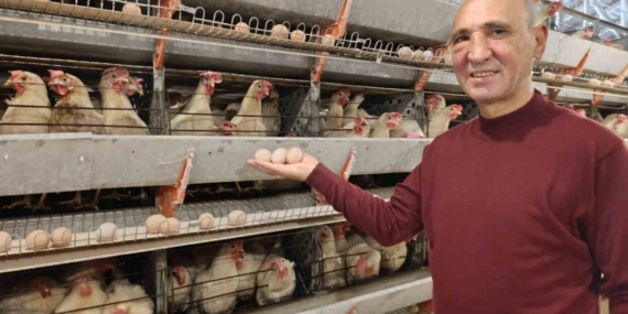 Simav’ın Kuşu beldesinde günlük 15 bin yumurta üretimi
