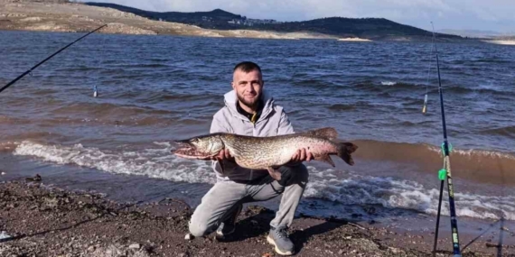 Sındırgı’da dev sazan balığı yakalandı