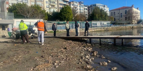 Sinop’ta deniz yüzeyindeki kirlilik vatandaşları endişelendirdi