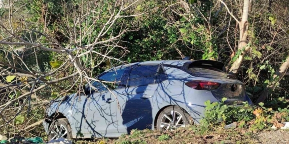 Sinop’ta kontrolden çıkan otomobil ağaçlık alana devrildi