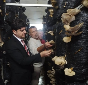 Sinop’ta mantar yetiştiriciliği eğitimi