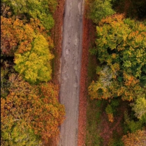 Sinop’ta sonbahar güzelliği
