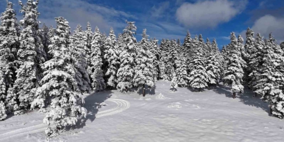 Sinop’tan kar manzaraları