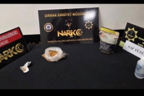Şırnak’ta narkotik ve kaçakçılık operasyonu: 1 tutuklama