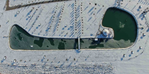 Sivas’ta soğuk hava etkisini gösterdi, ördeklerin olduğu gölet kısmen dondu