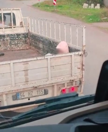 Soğuk havada yürek sızlatan yolculuk