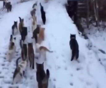 Soğuk kış günlerinde yürek ısıtan görüntüler Erzincan’dan