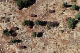 Sokak hayvanları sıcak yuvaya kavuştu