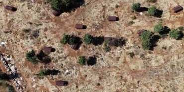 Sokak hayvanları sıcak yuvaya kavuştu