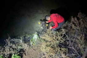 Su kanalına düşen buzağıyı itfaiye kurtardı