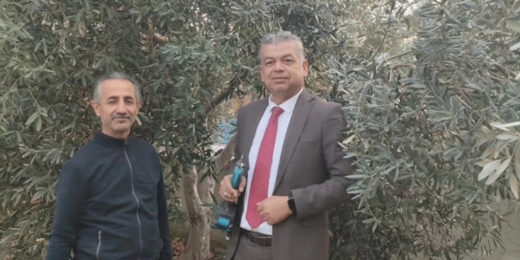 Sultanhisar’da zeytin budama kursu başladı