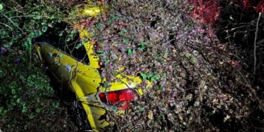 Sürücüsünün içinde olduğu otomobilin üzerine ağaç devrildi