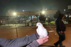 Tahliyeleri beyaz güvercinle karşıladılar
