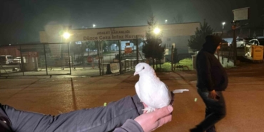 Tahliyeleri beyaz güvercinle karşıladılar