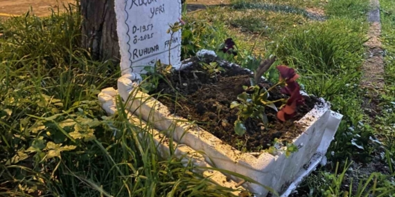 Taksicilerden vefa...Ölen muhabbet kuşları için mini mezar yaptılar