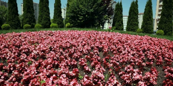 Talas 2026’da rengarenk olacak