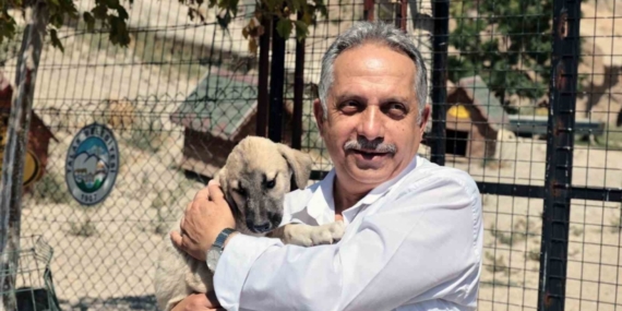 Talas Patievi Doğal Yaşam Alanı 500 can için seçkin bir yuva