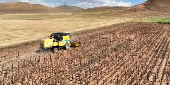 Tarımsal girdi fiyatları yıllık yüzde 33,66 arttı