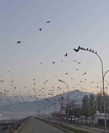 Tatvan sahilinde gökyüzünde sıra dışı manzara