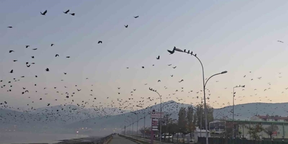 Tatvan sahilinde gökyüzünde sıra dışı manzara