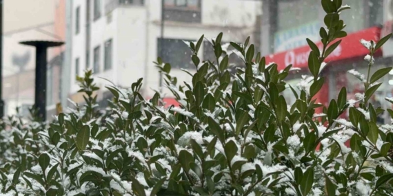 Tatvan’da kar yağışı