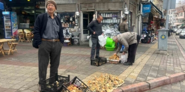 Tavşanlı’da Aralık ayı sonunda da Melki mantarı bereketi